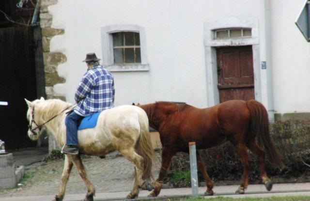 2 Pferde mit Reiter
